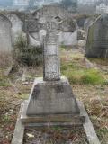 image of grave number 295729